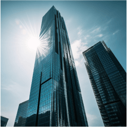 Enterprise-level Organisations